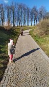 IMG 20200304 155217