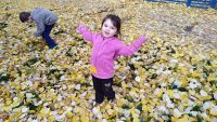 IMG 20191022 165255
