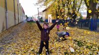 IMG 20191022 165501