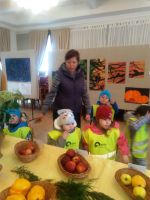 IMG 20191014 102739